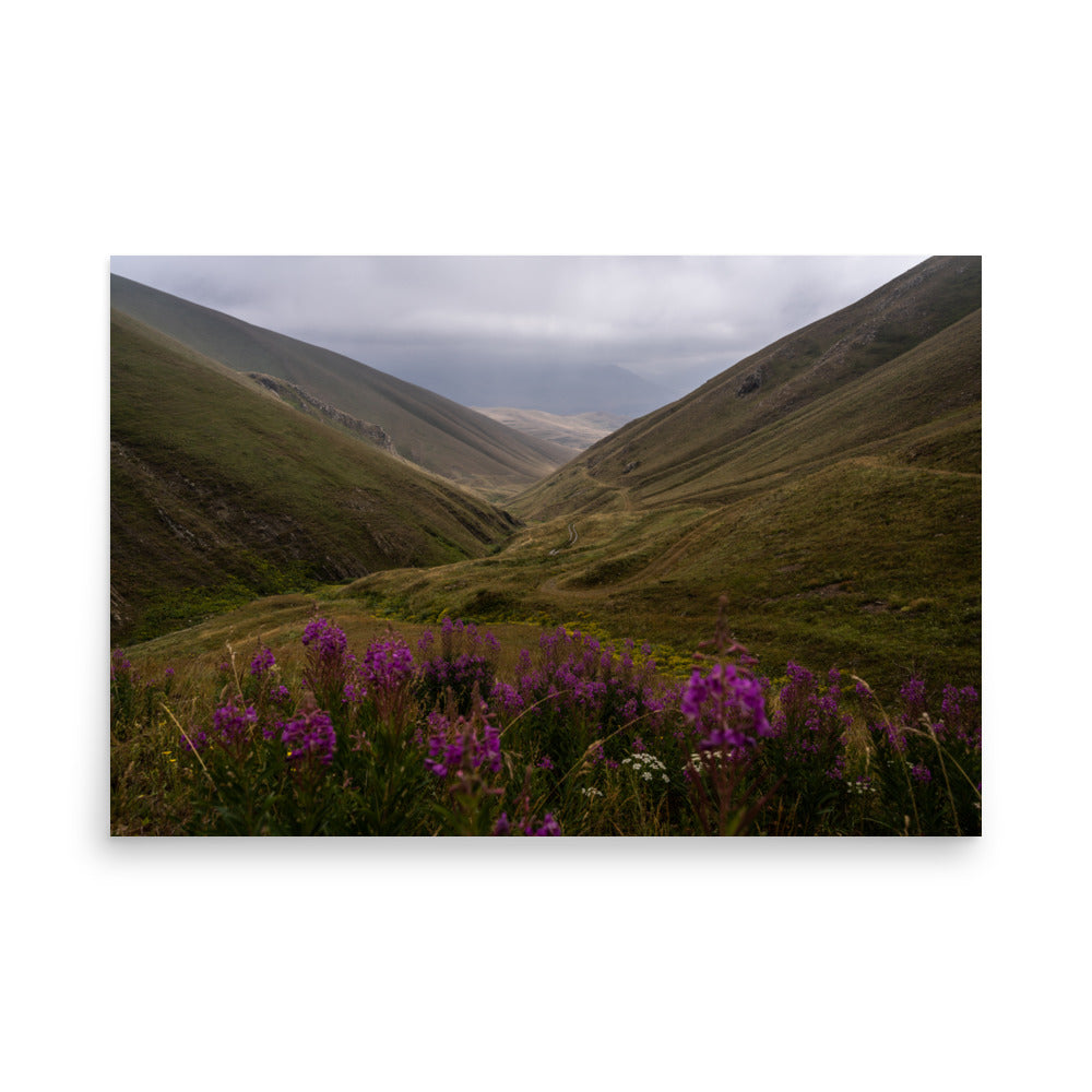 Purple Flora - Lori/Shirak
