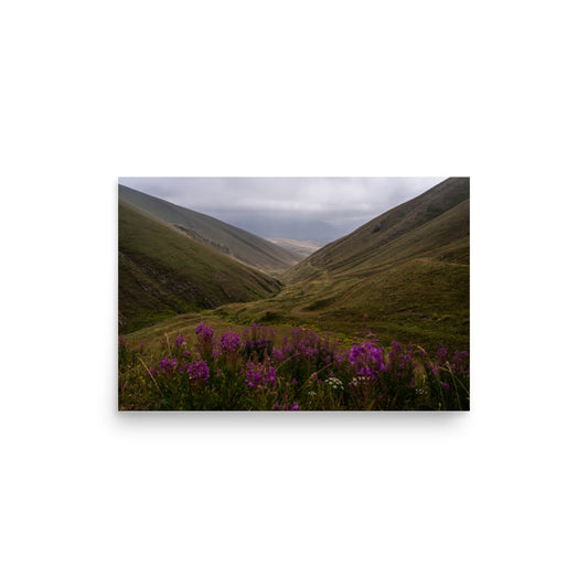 Purple Flora - Lori/Shirak