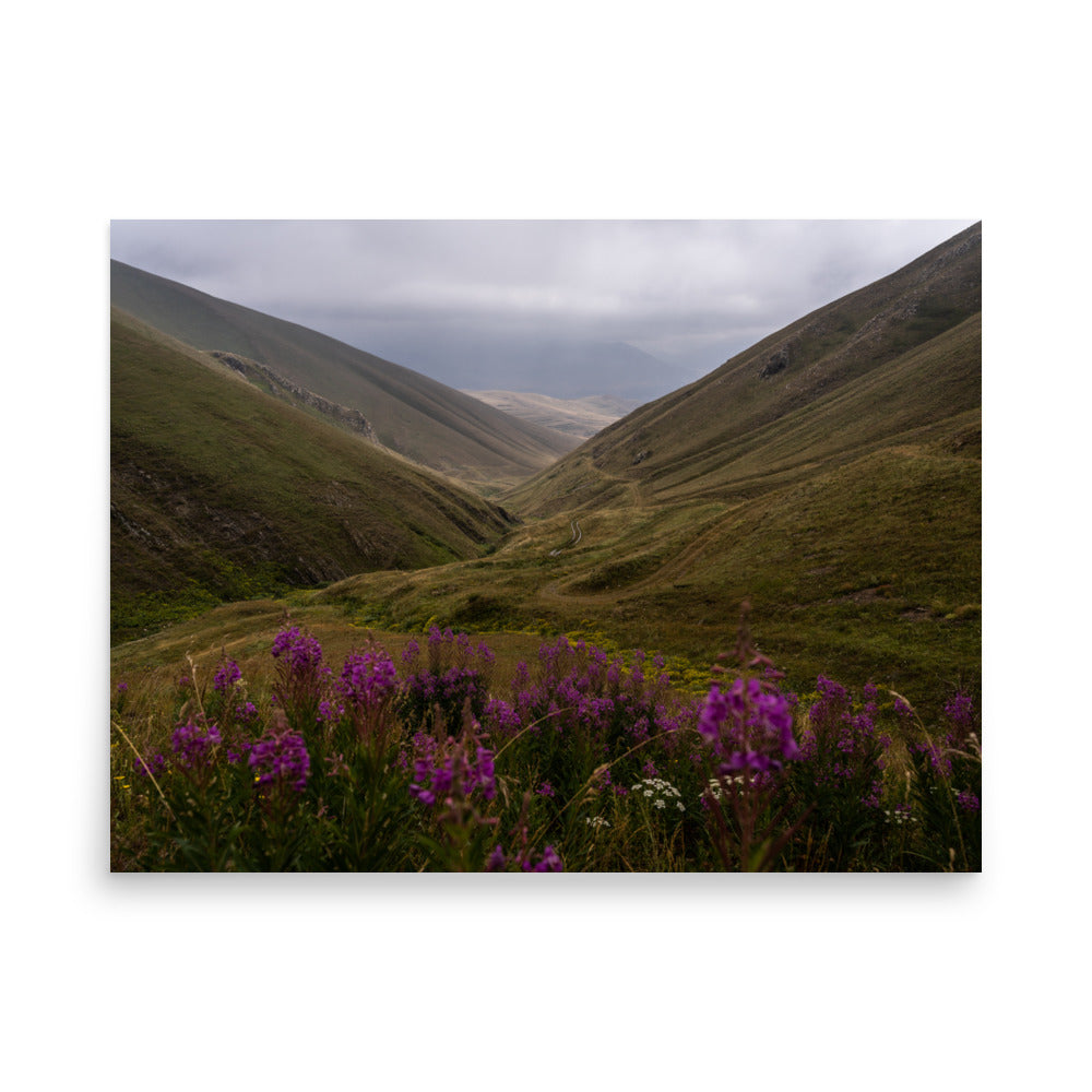 Purple Flora - Lori/Shirak