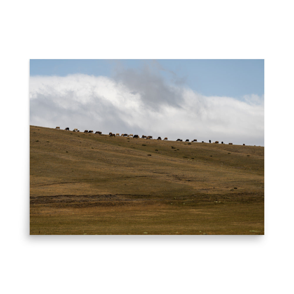 Feeding on Sky - Shirak