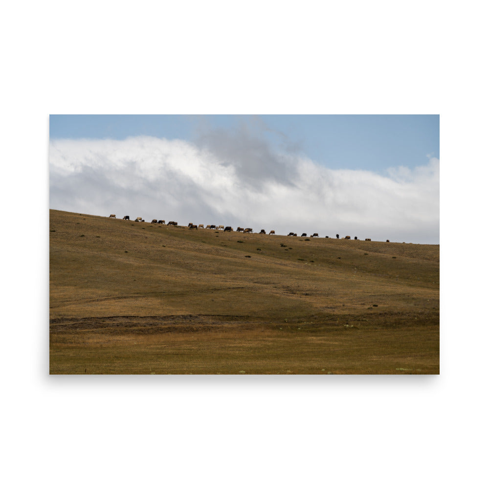 Feeding on Sky - Shirak